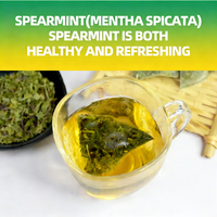 Sachets de thé à la menthe verte OEM, complément alimentaire naturel à base de plantes, 2g, végétalien, sans OGM, pour la santé bucco-dentaire et le soutien digestif, 20 sachets