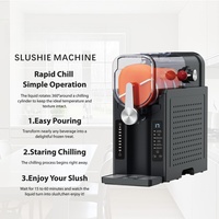 Machine à slush compacte, unité à haute productivité pour les boissons lactées glacées maison, état neuf