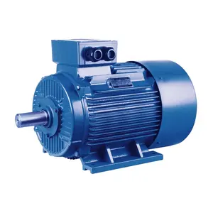 High Efficient Non Synchronous 3 Phase Enclose 2 Poles 4 Poles Motor