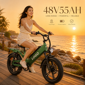 D55 <b>Electric</b> City Bike 750W 48V55Ah 20" Fat Tire 240km Range OEM Long Distance Commuter - Product Image 1