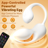 APP-Fernbedienung Hohler Einsteckbarer Vibrator aus Vollsilikon Wasserdichter Persönlicher Massagestab für Frauen mit 9 Vibrationsstufen