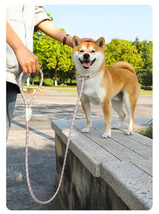 HIPHOPPET pesante corda intrecciata guinzaglio cane con fibbia di sicurezza regolabile in piombo per cani di grandi dimensioni formazione forte guinzaglio Pet durevole - Product Image 5