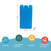 Briques de glace réutilisables écologiques pour glacière – Rétention de la fraîcheur longue durée – Idéales pour le camping et les pique-niques – Vente directe usine