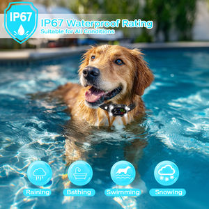 Collier <span class=keywords><strong>anti</strong></span>-<span class=keywords><strong>aboiement</strong></span> automatique pour chiens de sécurité, détection d'<span class=keywords><strong>aboiement</strong></span> haute précision, LED stroboscopique et longue durée de vie de la batterie, OEM/ODM - Product Image 5