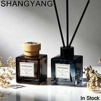 Flacon diffuseur de parfum décoratif de luxe pour la maison, 100 ml, flacons d'aromathérapie vides avec bouchon à vis, boîte d'emballage