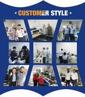 Máquina de Doblado de Cuchillas CNC Automática WT con PLC para Acero de Troqueles y Bombas de Motor, Alimentación de Alta Precisión 0.03/300mm, Ángulo Máximo de Doblado 110°