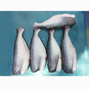 Pangasius Congelado Swai HGT, Pangasius Basa HGT, Pangasius Entero sin Cabeza y Eviscerado - Product Image 4