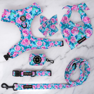 Arnés de perro de flores artísticas, accesorios personalizados para cachorros, cubierta de logotipo de marca personalizada, Collar de perro, correa a juego deseable - Product Image 4