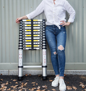 <span class=keywords><strong>Lidl</strong></span> için Tekli Düz Alüminyum Uzatılabilir Teleskopik Merdiven - Product Image 4