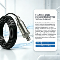 Transmetteur de pression en acier inoxydable 316L IP65 avec technologie piézorésistive pour applications industrielles exigeantes