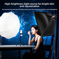 Lumière d'appoint 100W pour diffusion en direct, éclairage photo, éclairage pour photographie en intérieur, lumière douce, lumière à intensité constante
