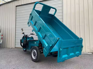 Triciclo elettrico a 3 ruote per moto da carico per granella e camion per gelati elettrico per camion Drumper Cargo componente del motore - Product Image 6
