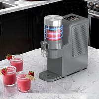 Appareil à barboteuse compact de 500ml pour usage domestique fonction autonettoyante DC12V/AC220V préparation rapide de boissons glacées à double tension