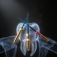 Limas Rotatorias y para Conductos Radiculares de Endodoncia Eléctricas de NITI Azul de Alta Calidad para Dientes que Garantizan una Limpieza Suave