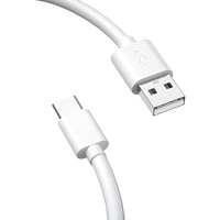 Produk Elektronik Kabel Transfer Data Ponsel Putih 2M USB Ke Kabel Pengisian PD Tipe C 12W