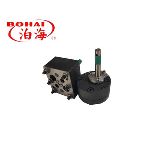 Hoge Temperatuur <span class=keywords><strong>10cc</strong></span>-30cc Smeltpomp Voor Kunststof Extruder Elektrische Tandwielpomp Met 3pk Hoge Druk 20Mm Uitlaat Oem Ondersteund - Product Image 3