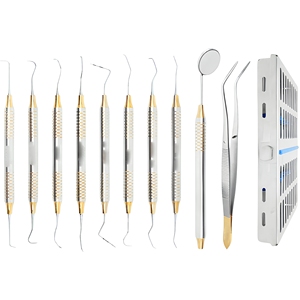 Kit Profesional de Herramientas para Higienista Dental, 10 Piezas, Acero Inoxidable, Set de Examen y Profilaxis, Proveedor Mayorista - Product Image 1