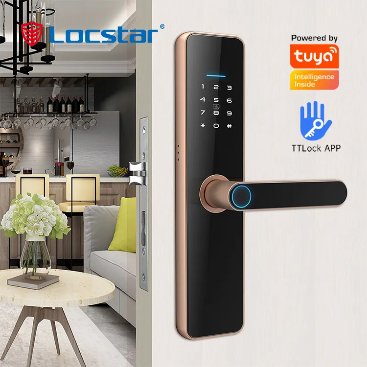 Locstar keyless כרטיס מפעל Tuya אבטחת ספרות חשמלי אלקטרוני ידית Ttlock Wifi מפתחות דיגיטלי חכם דלת מנעול טביעת אצבע