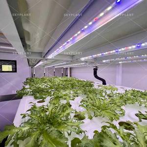 Système de culture hydroponique de micro-légumes Skyplant pour intérieur commercial avec pompe et lumière LED, structure stable, facile à assembler - Product Image 3