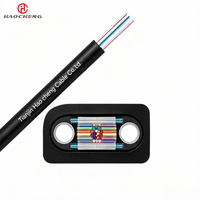 Cable de Fibra Óptica GJYXCH para Exteriores, Autoportante, Tipo 8, de 1 a 4 Hilos, G.657A2, Revestimiento de PE/PVC/LSZH, Totalmente Impermeable, Resistencia a la Tensión de 600N