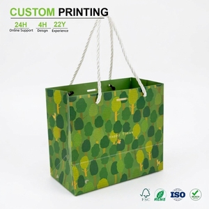 Sac en papier personnalisé de luxe écologique vert pour l'impression artistique avec poignée en corde torsadée et <span class=keywords><strong>corps</strong></span> large pour cadeaux et artisanat - Product Image 1