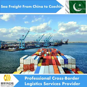 Agente de transporte marítimo da china para o paquistão com ddp online-compras-paquistão consolidação serviço empregos trabalho de casa on-line