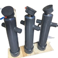 Vérin hydraulique télescopique simple effet mini lowrider en acier chromé dur certifié CE pour camions bennes et remorques