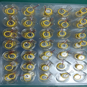 Pin Lithium Di Động Nút CR1025 3V Tùy Chỉnh Với Các Chốt Hàn Dọc Các Tab Để Thay Thế Pin Trò Chơi Gameboy Advance - Product Image 5