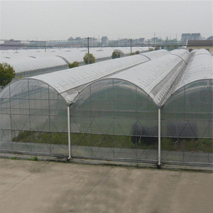 Nhà kính nhiều nhịp lớn, với nhà kính màng nhựa khung một lớp, được sử dụng để trồng trọt - Product Image 1