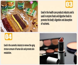 Gıda sınıfı doğal Bromelain enzim tozu ananas özü gıda işleme ve güzellik, gibi Tenderizers ve eksfoliye, vb. - Product Image 5