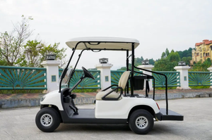 Wuling <span class=keywords><strong>2</strong></span> sièges 4kw Mini <span class=keywords><strong>Golf</strong></span> Buggy élégant plus rapide 48V batterie intelligent pas cher chariots de <span class=keywords><strong>Golf</strong></span> électriques pour terrain de <span class=keywords><strong>Golf</strong></span> Tianneng Simple - Product Image 3