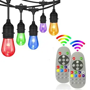 Commercial PVC RGBW S14 Remote Control 12V 110V 220V Dimmable LED 48ft Hanging RGB Patio String Lights