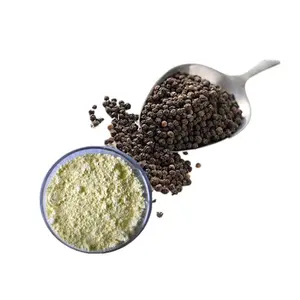 Hoge Kwaliteit Zwarte Piperine Extract Poeder Piperine 99%