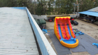 Toboggan gonflable Tropical commercial à double voie Toboggan gonflable à double voie avec piscine bleue pour la fête dans l'arrière-cour