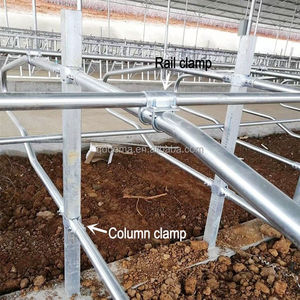 Sistema de Establos Libres de Alta Resistencia para Vacas Lecheras, Sistema de Alojamiento en Establos Libres para Vacas <span class=keywords><strong>Holstein</strong></span> - Product Image 4