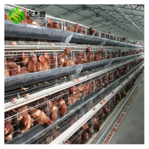 Commercial Price A Type 4 Tiers Egg Laying Poultry Farm Equipment Battery Layer Automatic Chicken Cage In Pakistan