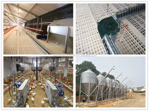 Nam Phi Hệ Thống Kỹ Thuật Auger <span class=keywords><strong>Feed</strong></span> Chain Corner Đối Với Người Lai Tạo Lớp Gà Thịt - Product Image 6