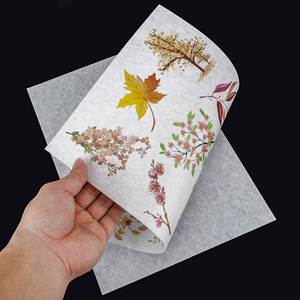Papel Adhesivo Translúcido Mate Japonés para Impresión de Inyección de Tinta FX, A3 420x297, con Reverso de Plástico Transparente - Product Image 4