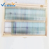 Microscope Slide for Biological Class Biological Microscope Slides Prepared Specimen Slides for Biology Class Teaching