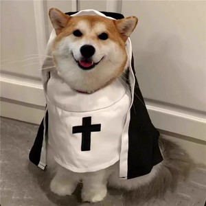 <span class=keywords><strong>Monja</strong></span> mascota disfraz <span class=keywords><strong>de</strong></span> Halloween gatito Cosplay traje <span class=keywords><strong>de</strong></span> transformación perro pequeño Internet celebridad foto divertido peculiar poliéster - Product Image 3