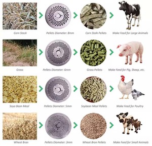 Mini <b>Chicken</b> Cattle Animal <b>Feed</b> Food <b>Pellet</b> Making Machine Poultry <b>Feed</b> <b>Pellet</b> Mill Pelletizer Machine for Broiler Hen Cock Bull - Product Image 6