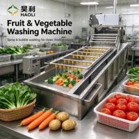 Laveuse à bulles commerciale HAOLI pour légumes, Laveuse industrielle de fruits et légumes à feuilles pour ligne de transformation alimentaire