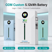 Paket Baterai Lithium LiFePO4 51.2V 314Ah 10kWh Sistem Energi Surya Penyimpanan Energi Rumah PACE BMS Layar Sentuh 7-Inci Garansi 10 Tahun