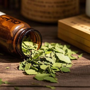 Hierbas secas naturales Té de hojas de morera Hojas de morera secas Sang Ye Hierba seca Gránulos enteros de FOLIUM Mori Té de hierbas - Product Image 2