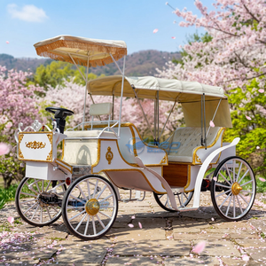 Limousine électrique personnalisée, élégante calèche électrique de mariage, calèche de tourisme pour chevaux blancs - Product Image 1