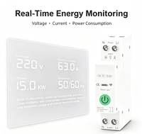 Interruptor de Circuito Inteligente WiFi Tuya de 1-63A para Riel DIN con Protección Contra Sobrecorriente, Monitoreo de Energía y Control Remoto