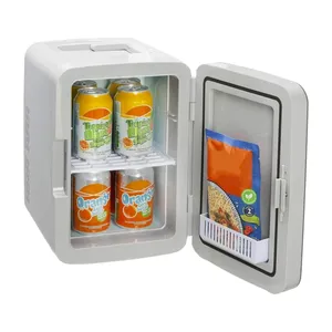 Frigorifero portatile di bellezza 10l o 12 lattine con frigorifero caldo e freddo AC DC 12V per la cura della pelle Mini frigorifero
