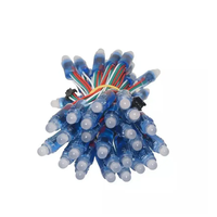 Bon prix de la nouvelle conception source 5v 12v diamètre adressable pixel led guirlandes lumineuses led point lumineux led module de pixel