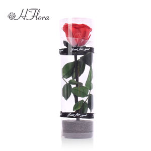 Venta al por mayor de flores rosas naturales preservadas con tallo largo real Rosa Día DE LA MADRE boda Vida eterna flor Material regalo - Product Image 3