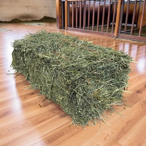 Heno de Alfalfa de Primera Calidad en Pacas para Caballos, Ganado y Cerdos, Listo para Envío, Mejor Precio/Cantidad al por Mayor, Precio Económico - Product Image 1